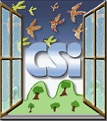 logo CSI